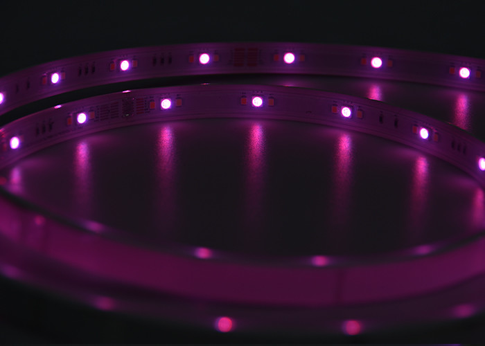Bedroom DC12V 2m 5050 10w/M RGBW LED Strip Light