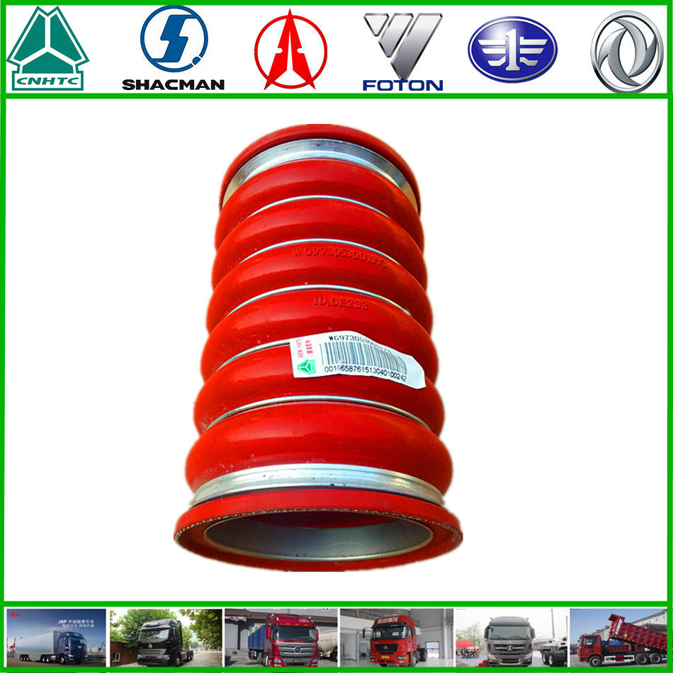 Jinan Sinotruk HOWO Truck Spare Parts Intercooler Intake Hose (WG9730530011)