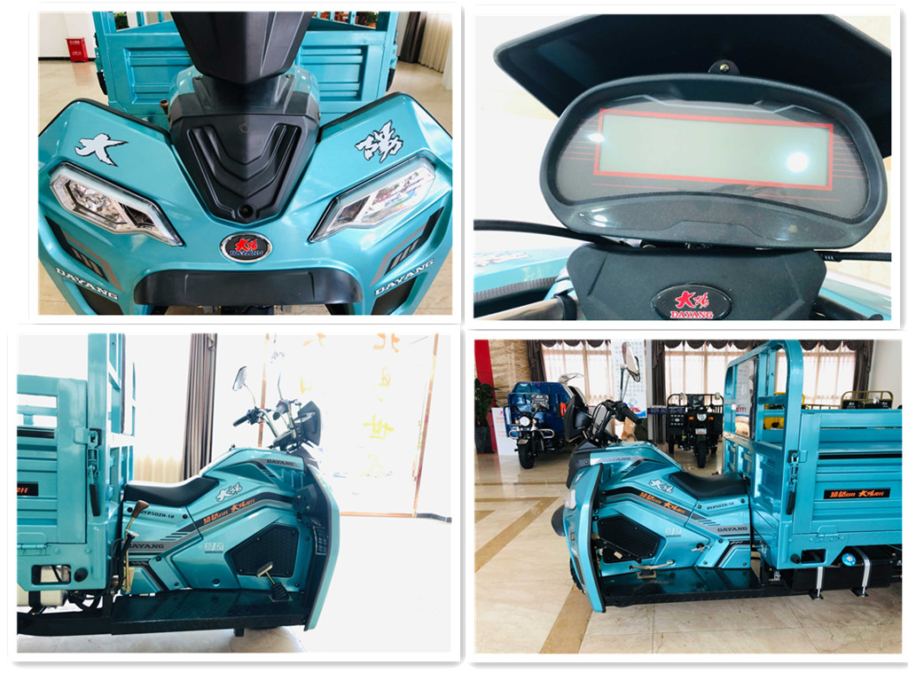 250CC Motorized Cargo Tricycle with 3 Wheel Motorcycle Trike Gasoline from Chinese
