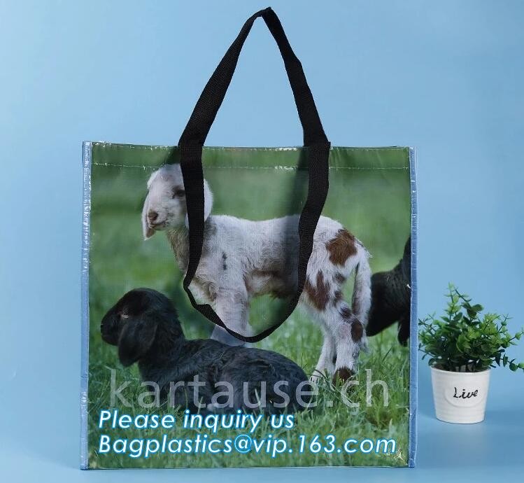 Custom Huge Luggage PP Woven Bag With Zipper Lock,PP Woven Shopping Bag,Factory customized cheap laminated pp woven shop