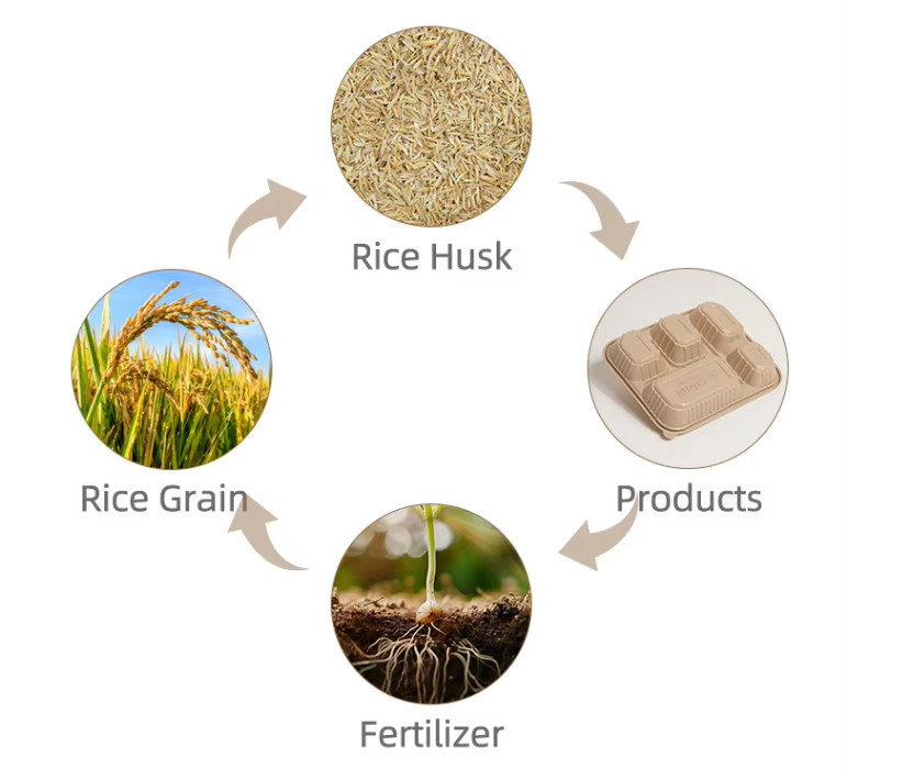 Biodegradable Disposable Rice Husk Fiber Lunch Box Compostable Takeaway Container Eco-Friendly Food Packaging