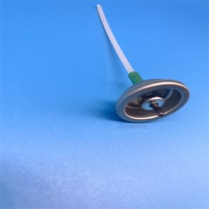 Universal Compatibility Silver Button Actuator Valve Free Sample Included