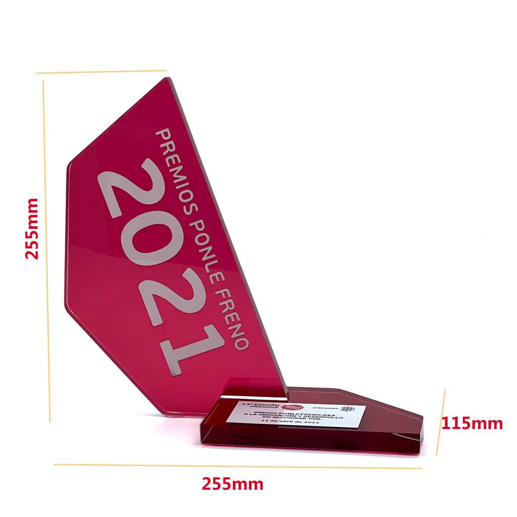 Engraving Customizable Custom Acrylic Awards for School Anniversary Gifts and Trophy