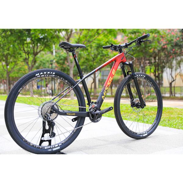29 Inch Mountain Bike with 22 Speed Carbon Fiber Front Fork and Hydraulic Disc