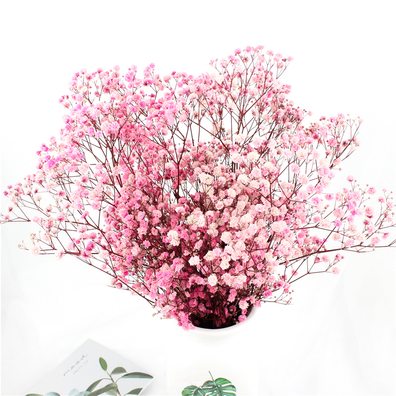 Multicolor Beautiful Dried Flowers Baby'S Breath Wedding Table Decorations
