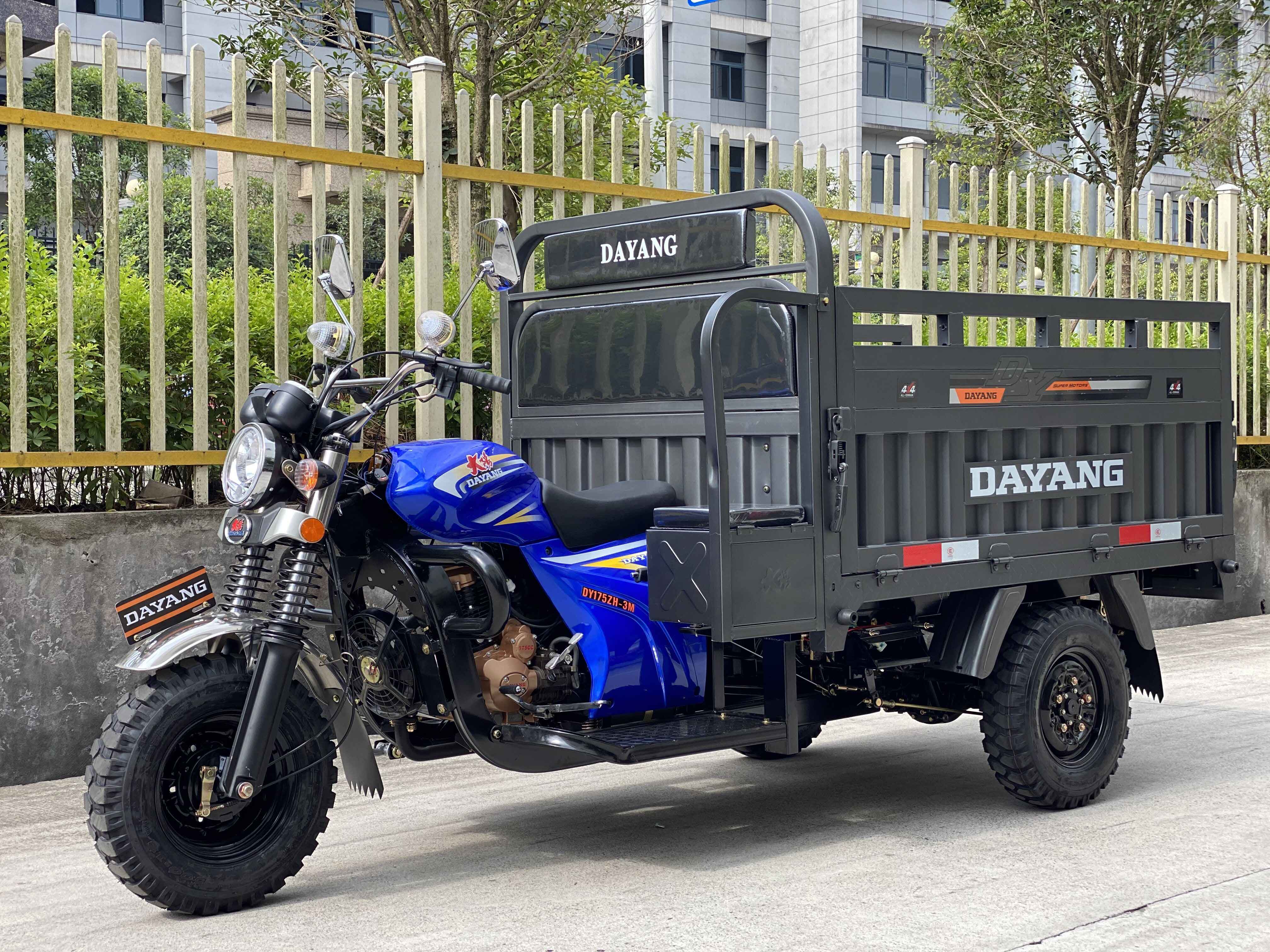 Dayang Heavy Load Motorized 200cc Moto for Sudan Tricycle Tuk Tuk Customized Cargo