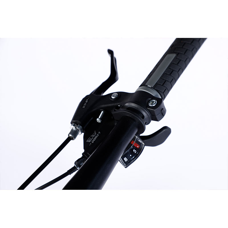 Experience the Thrill 24 Speed Fat Mountain Bike with Double Wall Rim and Big Tires