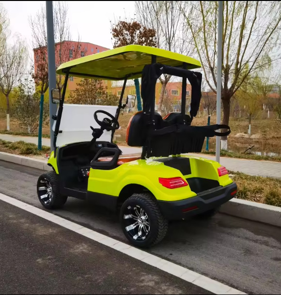 10 Inch Tire Optional Lithium Battery Electric Golf Cart 4KW Motor Customized