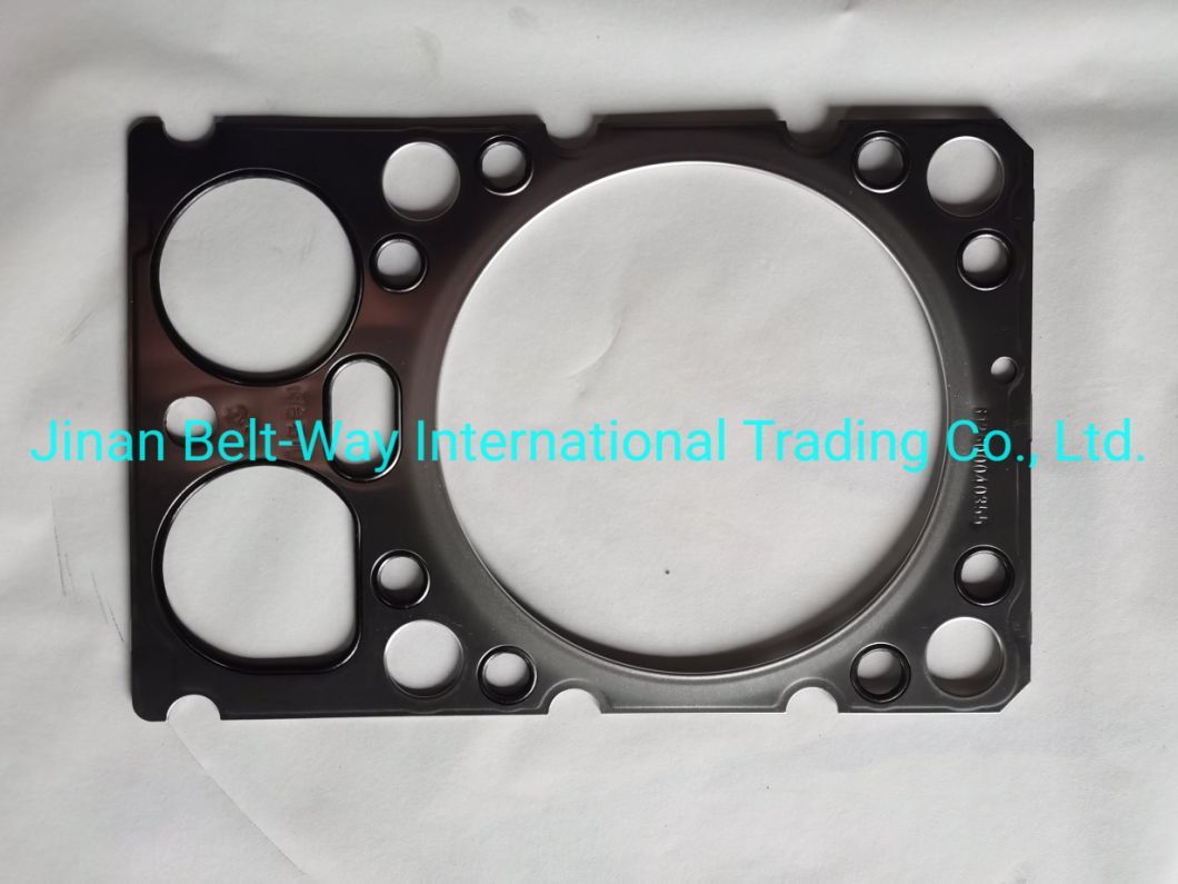 Sinotruk HOWO Truck Parts Cylinder Head Gasket 612600040355