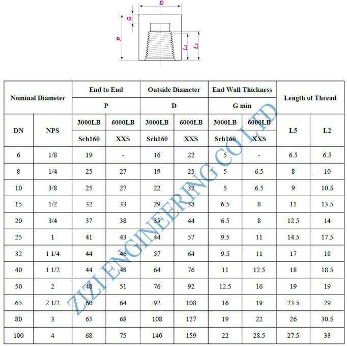 3 / 4 " Class 3000 Forged BSPP Pipe Fittings , ASTM A182 F5 Pipe End Cap