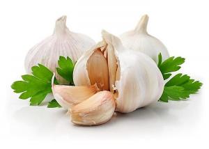  High Quality Green agricultural organic fresh garlic-ecologic product Manufactures