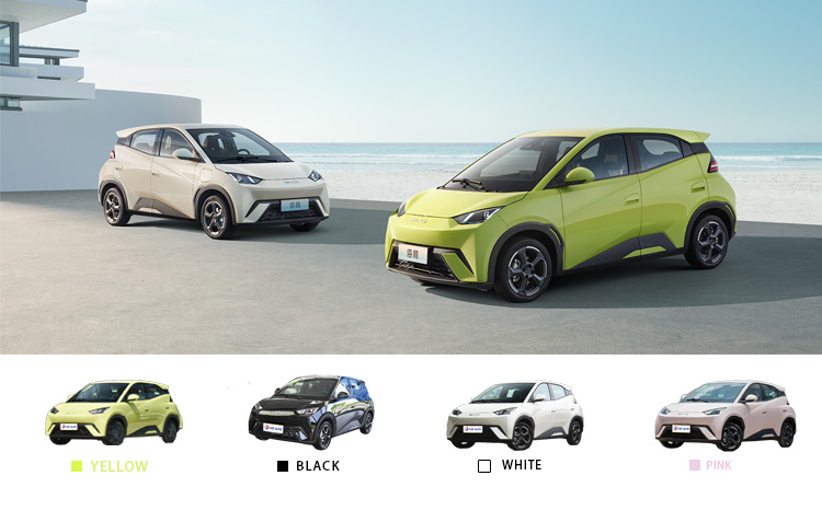 405KM Long Range Energy Car EV BYD Seagull 2024 Flying Edition Battery Capacity 30.08kWh