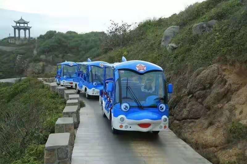 Thomas Train Head Cartoon Electric Sightseeing Car Size 5430*1600*2050mm 14 seats
