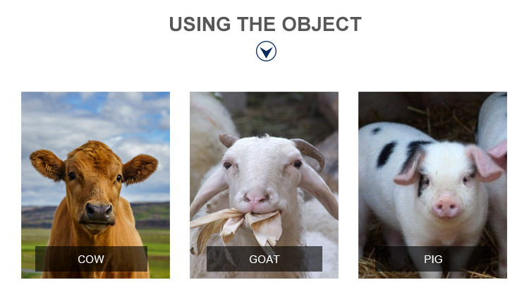 Farm Ear Tagging Waterproof Cattle Ear Markers For Livestock Management