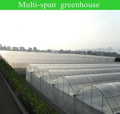Film Covered Greenhouse for Agriculture in Namibia Affordable and Customizable Height