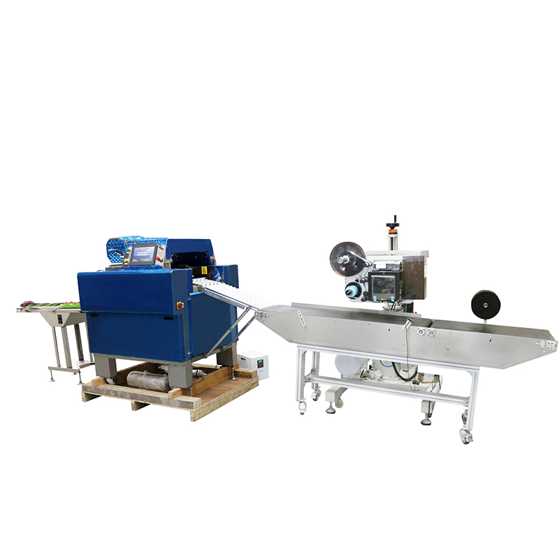 220V Voltage Carton Labeling Machine with Real-Time Printing and Advanced Applicator