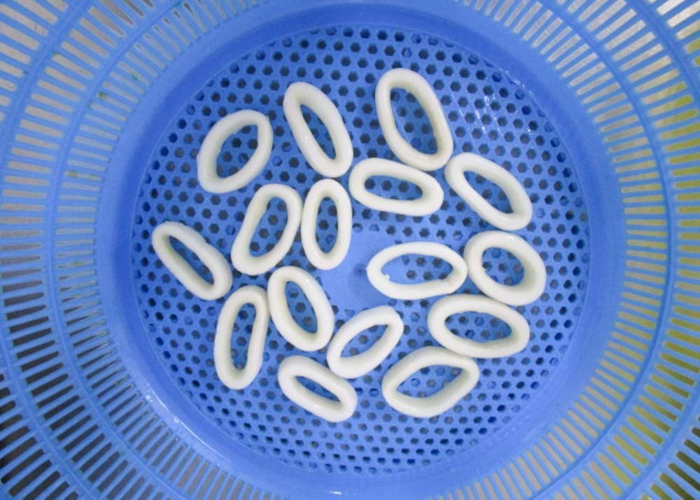 forzen squid rings EU standard no additives chemical off white color Todarodes pacicicus Diameter 3-7cm