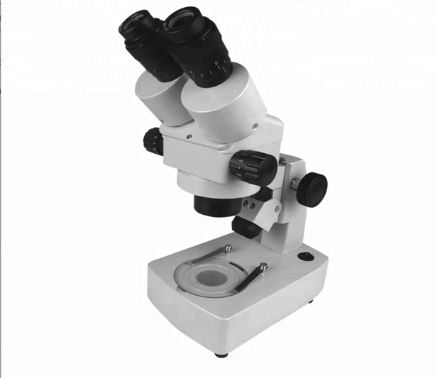 Stereo Microscope