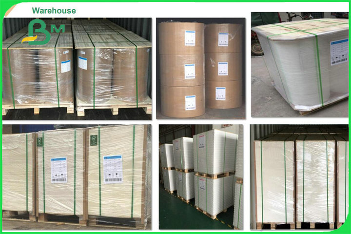One Side High Quality Coated Duplex Board White Surface 250gsm 300gsm For Boxes
