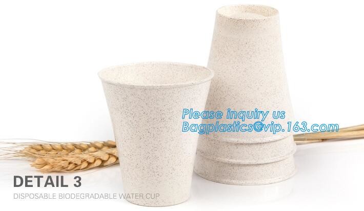 Meal Prep Containers Free Sample Bento Lunch Box Biodegradable Food Container Plastic Wheat Straw Lunch Box bagplastics