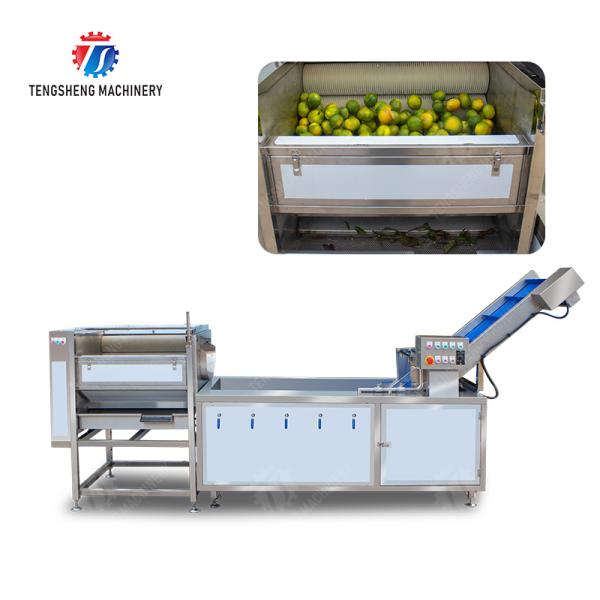 Dust Scrub Sortment Fruit Production Line Bubble Controlling Pineapple Vegetable