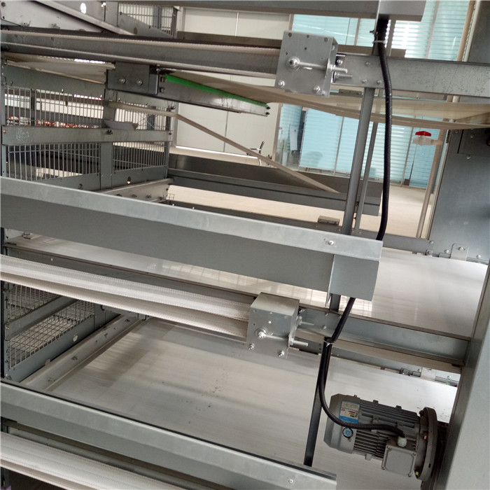 Multi Level Power Automatic Layer Poultry Equipment For Manure Cleaning