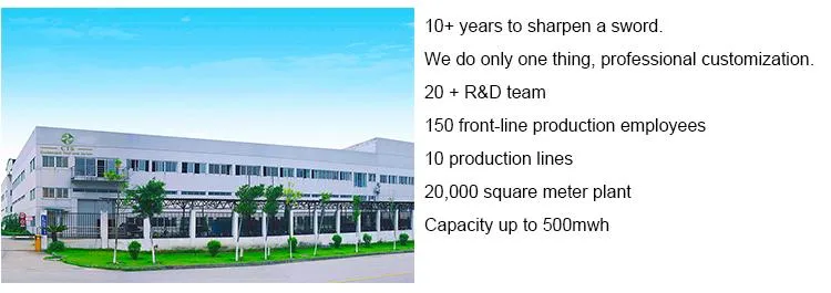 Rechargeable Lithium Battery 144V 100ah 120ah 366V Lithium Iron Phosphate LiFePO4 Li-ion Battery for EV with Built-in Smart BMS
