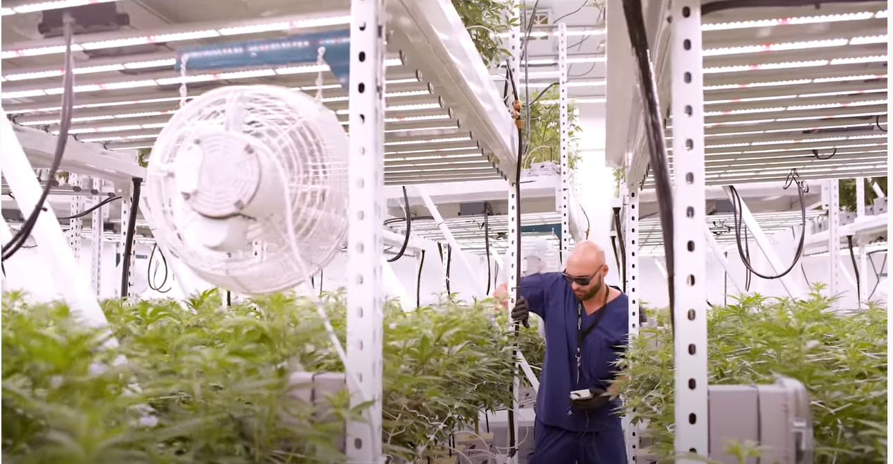 380nm Full Spectrum LED Grow Lights