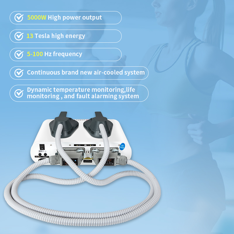 Dual Handles Body Slimming / Fat Burning Machine ABS For Muscle Toning Various Plugs Type