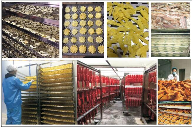 3.8kw Industrial Food Vegetable Freeze Dried Machine Closed Loop Heat Pump