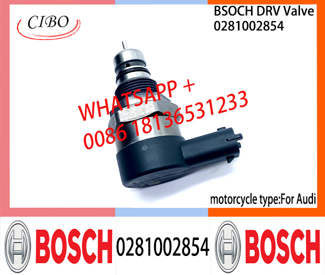BOSCH DRV Valve 0281002854 Control Valve 0281002854 for AUDI