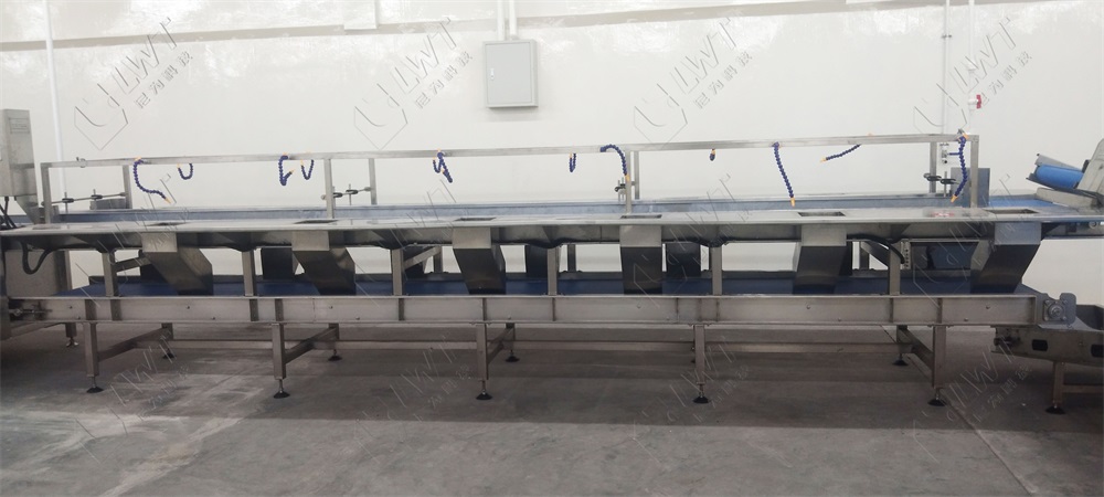 High Capacity Canned Sardines Making Machine With Automatic Grade Automatic