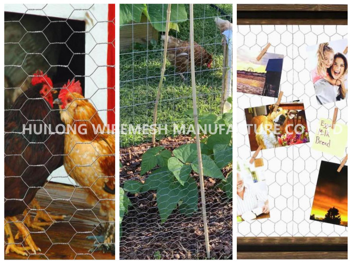 1/2inch Galvanized Hexagonal Poultry Netting Chicken Wire 1.2m X 10m