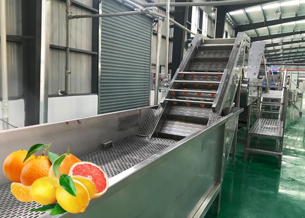 Professional Tangerine Citrus Processing Equipment 5T/H ISO Certificate
