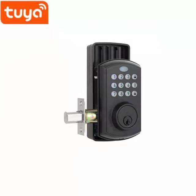 Aluminum Alloy Residential Electronic Lock Fingerprint Smart Lock Tuya App