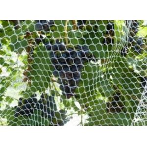 Recyclable Stronger Hex Mesh Insect Netting Mesh High Tensile Strength