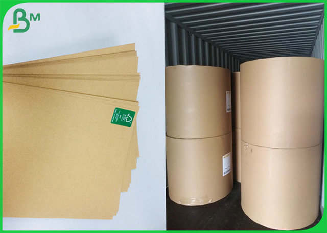 Different Gram Brown Color Kraft Liner Roll For Printing Or Packaging