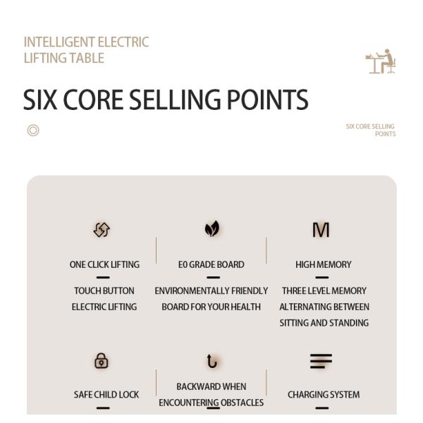 Simple And Comfortable Executive Desk, Silent Single Motor Lifting Desk, Stable And Multifunctional Design Desk For Office Use