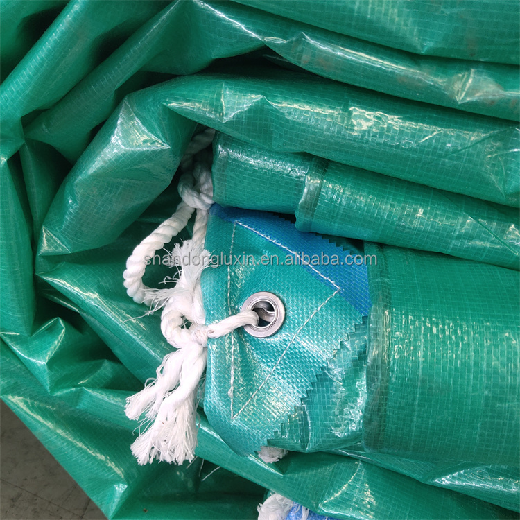 Waterproof HDPE Fabric PE Tarpaulin Stain Resistant Blue Poly Tarp for Outdoor Cover