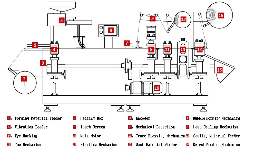 Small Alu Alu Blister Packing Machine for Medicine Vacuum Thermoform Packaging