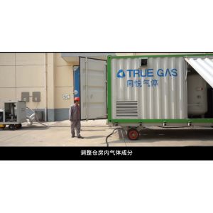 Container skid mobile nitrogen gas generator for grain depot with nitrogen