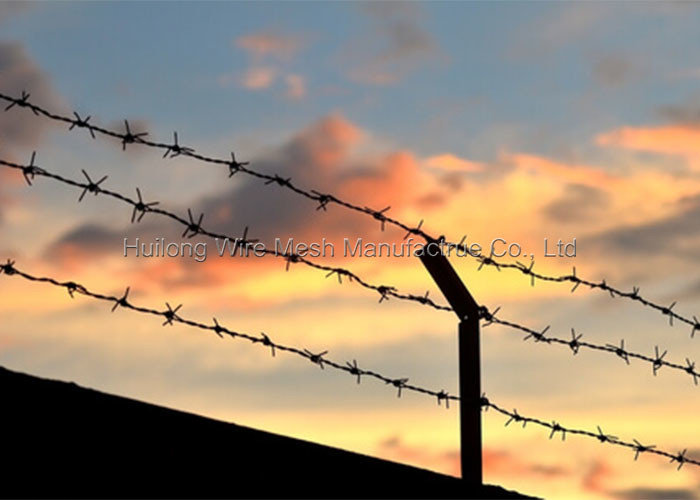4/15 Hot Dipped Galvanized Razor Barbed Wire 100 Metres rust resistance