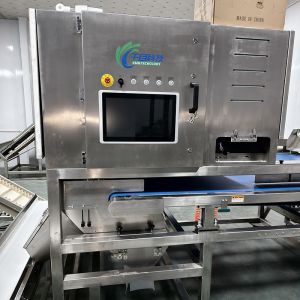  Intelligent And Efficient Auricularia Sorter: Precise Sorting, New Choice For Improving Quality Manufactures