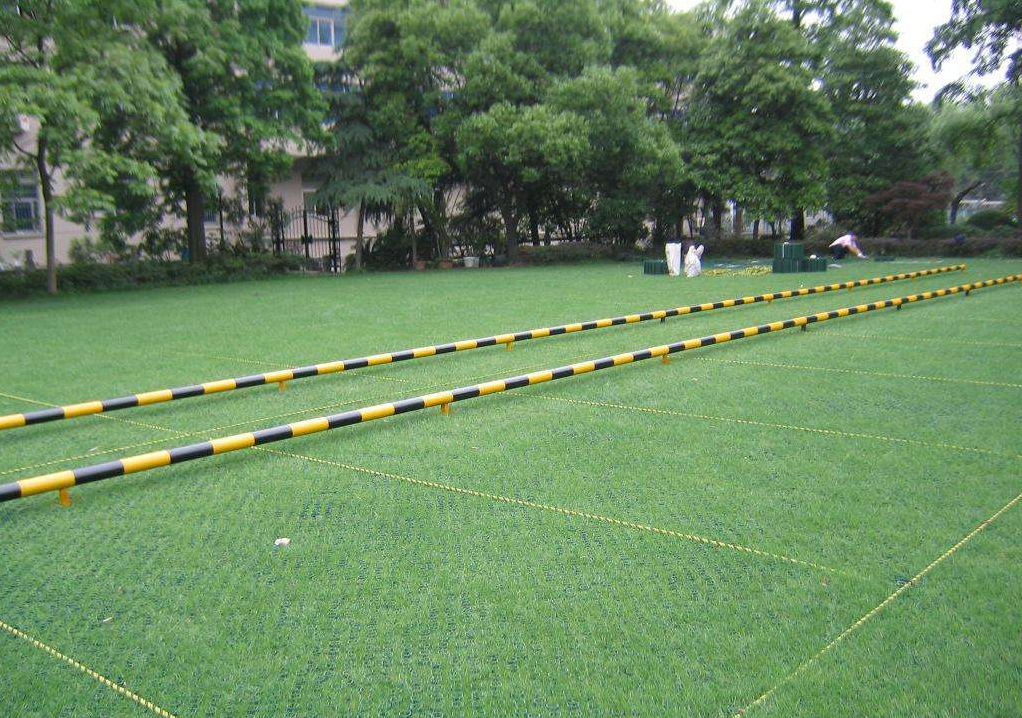 Parking Lot and Driveway HDPE Plastic Grass Grid Paver CE/ISO9001/ISO14001 Certified