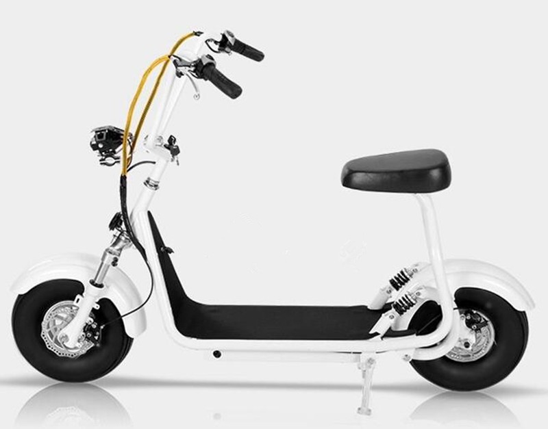 Citycoco Easy Rider 48V 500W Electric Scooter with Small and Exquisite Design On Buyers