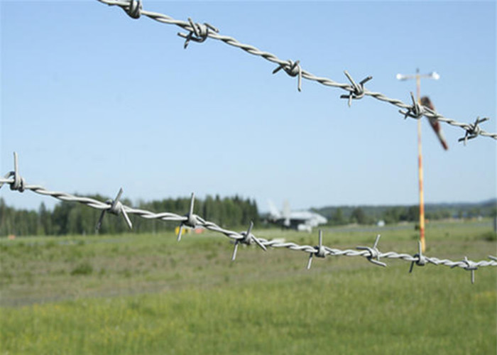 low carbon steel 20kgs Q195 Security Barbed Wire Fencing