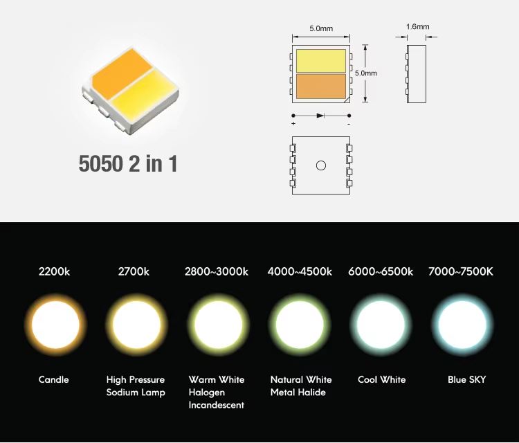 CCT LED Strip Lights 5050 300 LEDs Warm/White Double Color Temperature Tape Light Strips for Automotive Marine