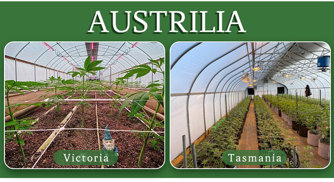 Hot Galvanized Steel Structure Greenhouse Kits with Plastic Film and Shade Net Cover Material and 1.5m-1.8m Shoulder Height