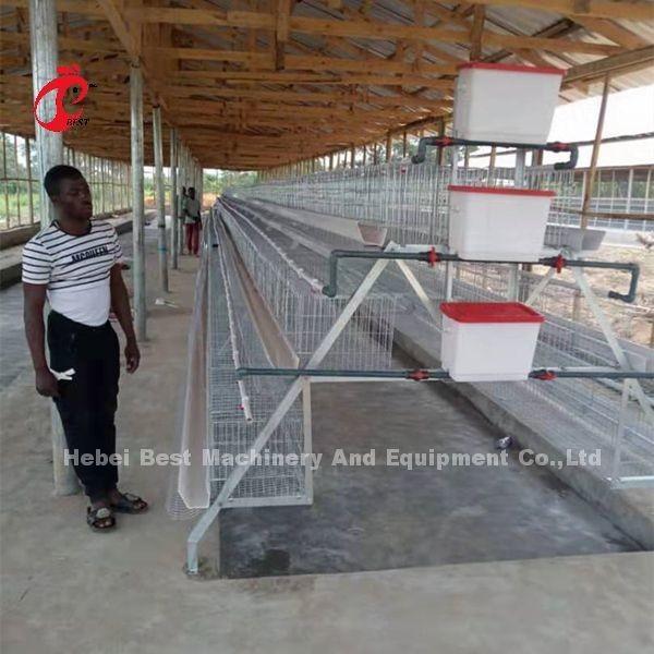 120 Birds Poultry Battery Cage Hot Galvanized With 4 Doors Use In 10000 Birds