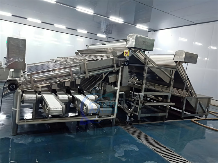 4.9KW Practical Fish Grading Machine , Automatic Fish Sorting Equipment